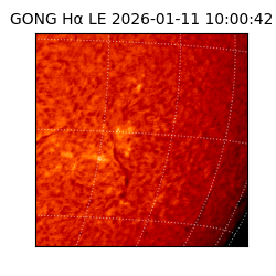 gong - 2026-01-11T10:00:42