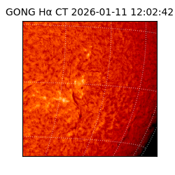 gong - 2026-01-11T12:02:42