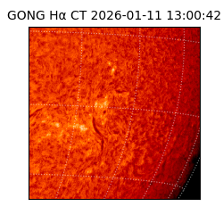 gong - 2026-01-11T13:00:42