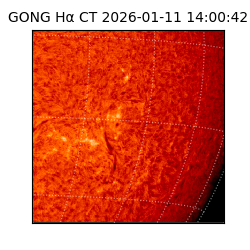 gong - 2026-01-11T14:00:42