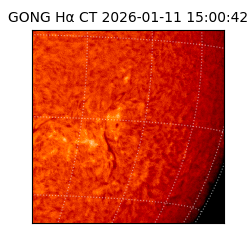 gong - 2026-01-11T15:00:42