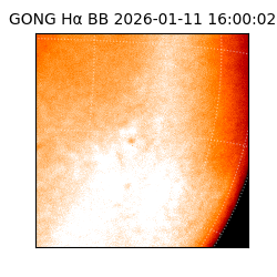 gong - 2026-01-11T16:00:02