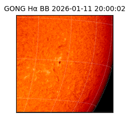 gong - 2026-01-11T20:00:02