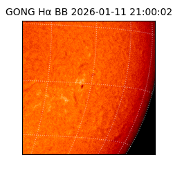gong - 2026-01-11T21:00:02