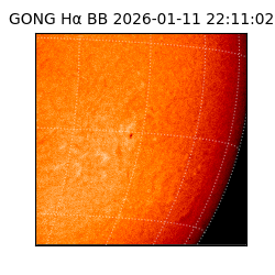 gong - 2026-01-11T22:11:02
