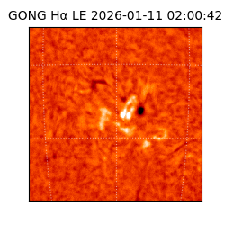 gong - 2026-01-11T02:00:42