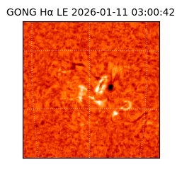 gong - 2026-01-11T03:00:42