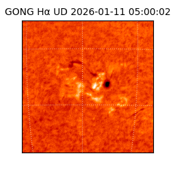 gong - 2026-01-11T05:00:02