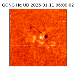 gong - 2026-01-11T06:00:02