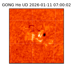 gong - 2026-01-11T07:00:02