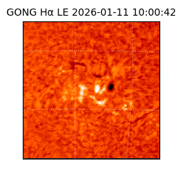gong - 2026-01-11T10:00:42