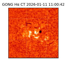 gong - 2026-01-11T11:00:42