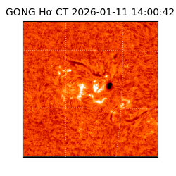 gong - 2026-01-11T14:00:42