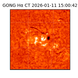 gong - 2026-01-11T15:00:42