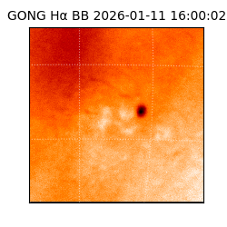 gong - 2026-01-11T16:00:02