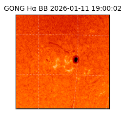 gong - 2026-01-11T19:00:02