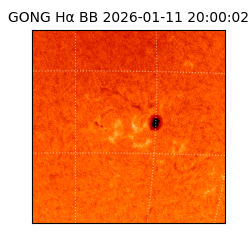 gong - 2026-01-11T20:00:02