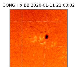 gong - 2026-01-11T21:00:02