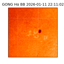 gong - 2026-01-11T22:11:02