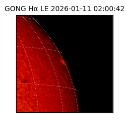 gong - 2026-01-11T02:00:42