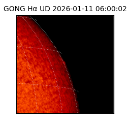 gong - 2026-01-11T06:00:02