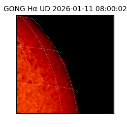 gong - 2026-01-11T08:00:02