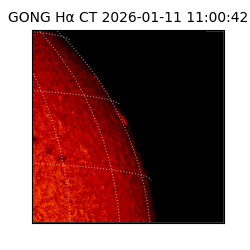 gong - 2026-01-11T11:00:42