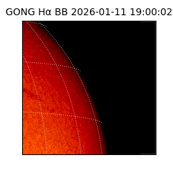 gong - 2026-01-11T19:00:02