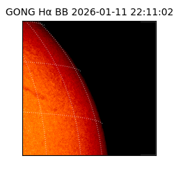 gong - 2026-01-11T22:11:02