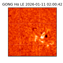 gong - 2026-01-11T02:00:42