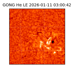 gong - 2026-01-11T03:00:42