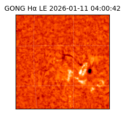 gong - 2026-01-11T04:00:42
