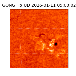 gong - 2026-01-11T05:00:02