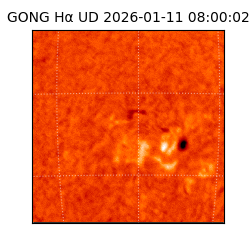 gong - 2026-01-11T08:00:02
