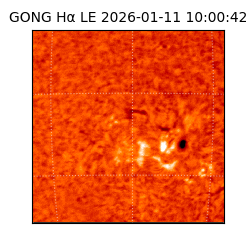 gong - 2026-01-11T10:00:42