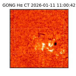 gong - 2026-01-11T11:00:42