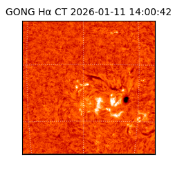 gong - 2026-01-11T14:00:42