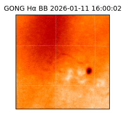 gong - 2026-01-11T16:00:02