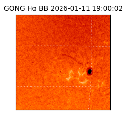 gong - 2026-01-11T19:00:02