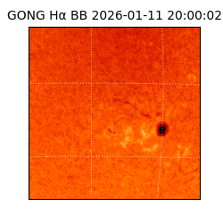 gong - 2026-01-11T20:00:02