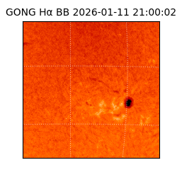 gong - 2026-01-11T21:00:02