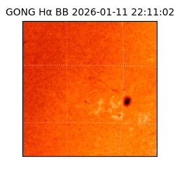gong - 2026-01-11T22:11:02