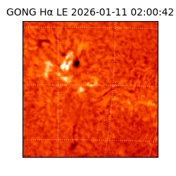 gong - 2026-01-11T02:00:42