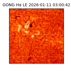 gong - 2026-01-11T03:00:42