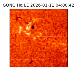 gong - 2026-01-11T04:00:42