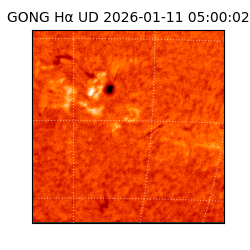 gong - 2026-01-11T05:00:02