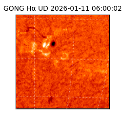 gong - 2026-01-11T06:00:02