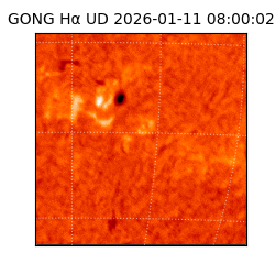 gong - 2026-01-11T08:00:02