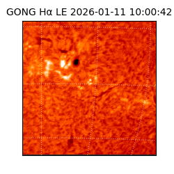 gong - 2026-01-11T10:00:42