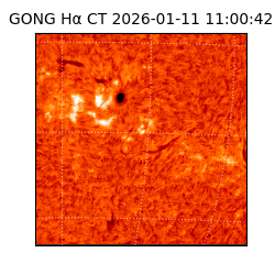 gong - 2026-01-11T11:00:42